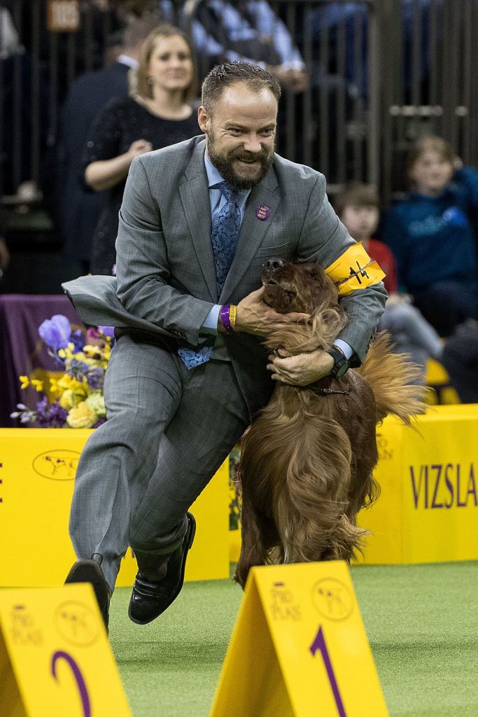 Adrian the Irish Setter is embraced by his handler after winning the sporting category<br>